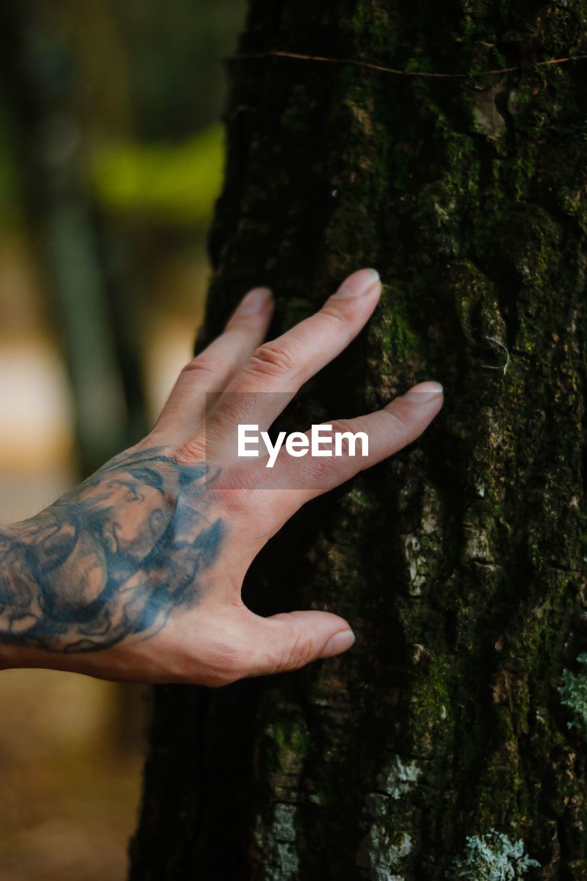 Cropped image of man with tattooed hand touching tree trunk at park