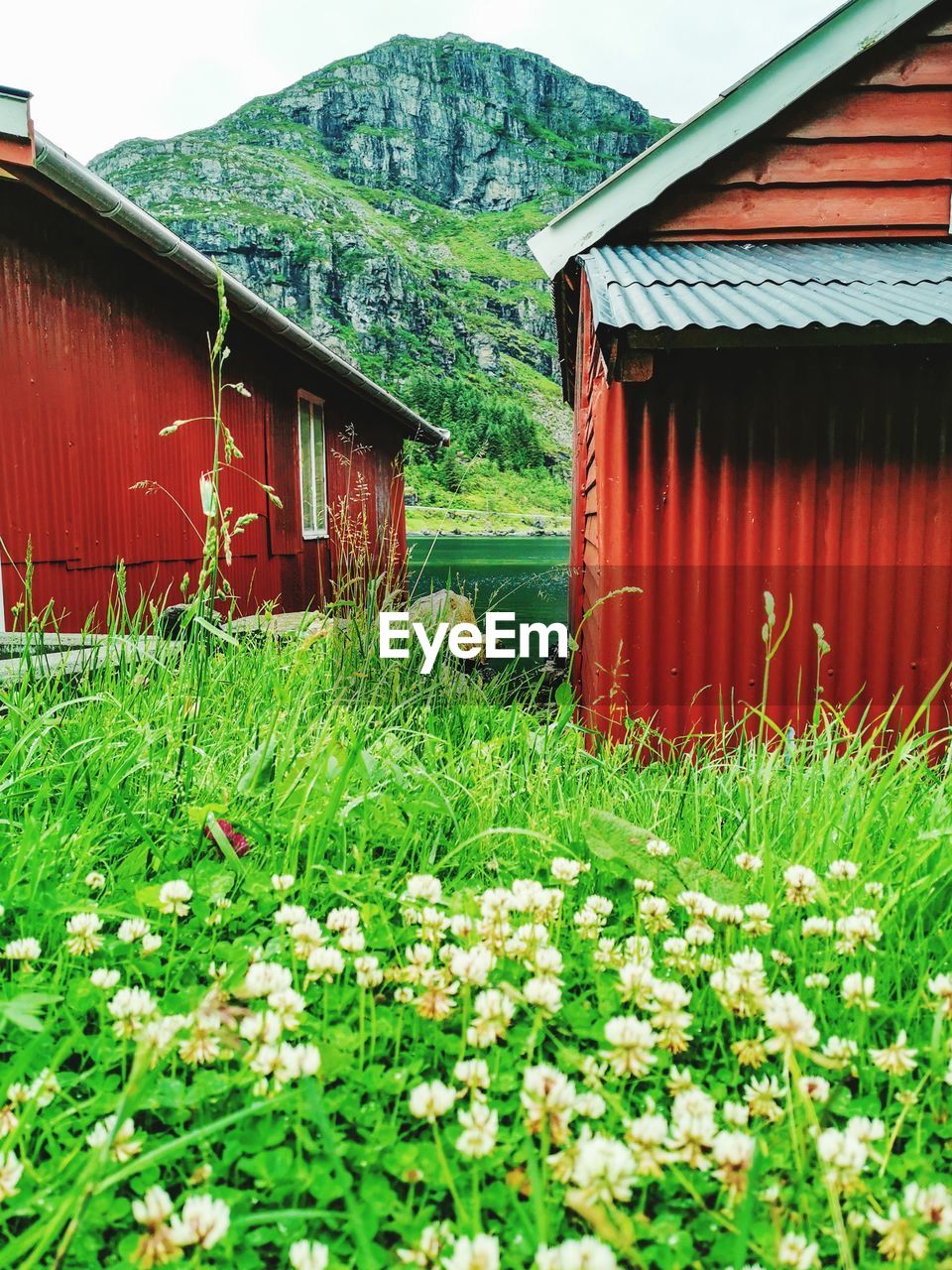 BARN ON FIELD