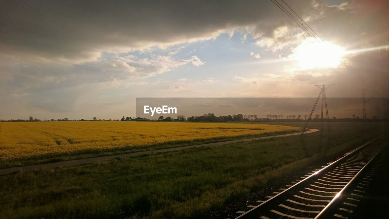 Railroad tracks by field during sunny day