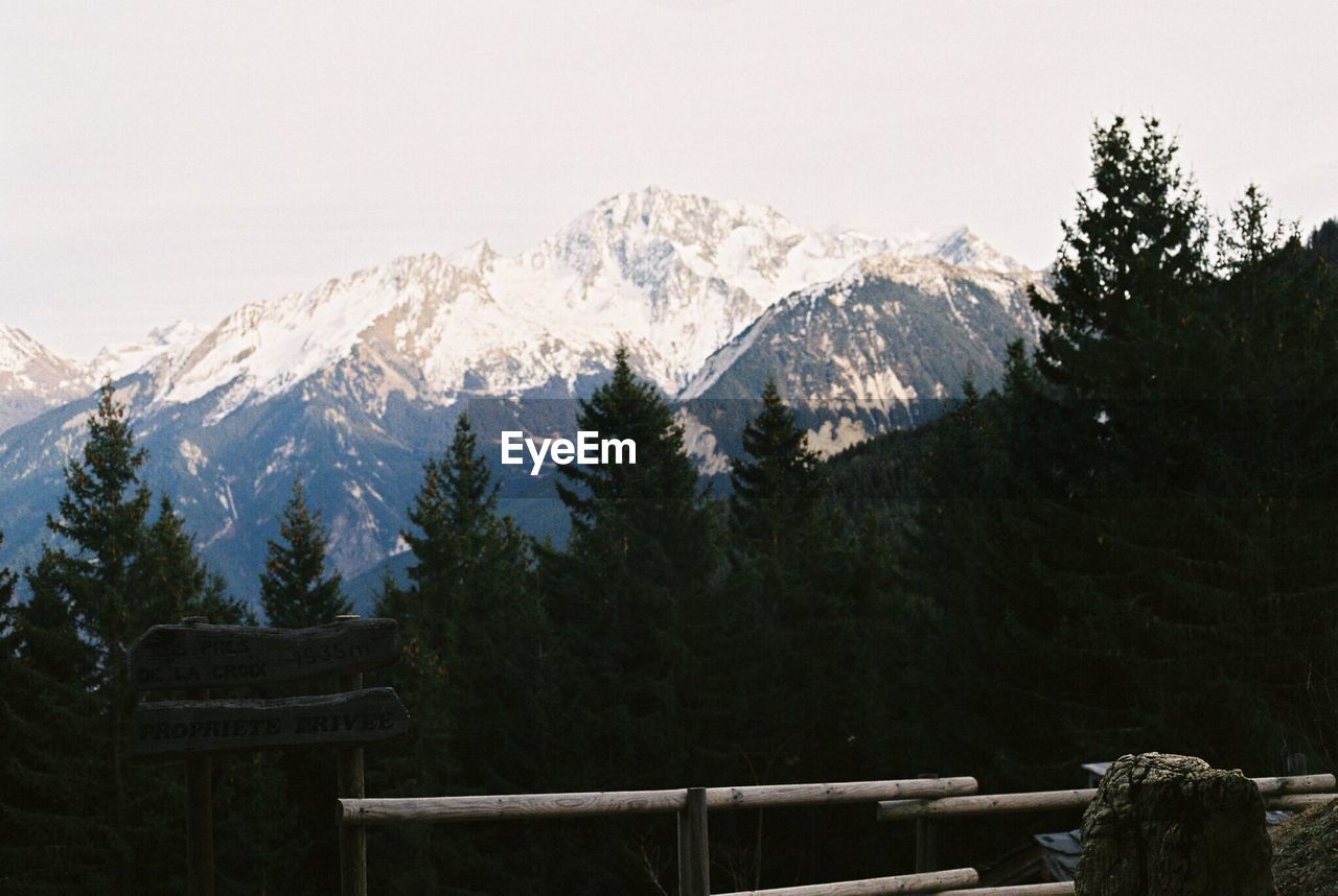 LOW ANGLE VIEW OF TREES AGAINST MOUNTAINS