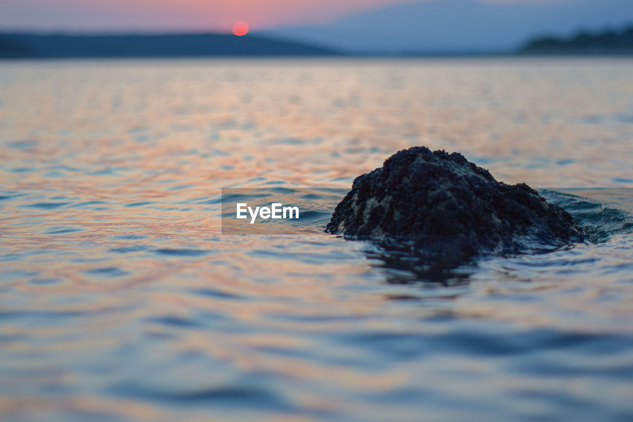 Surface level of rocks on shore during sunset