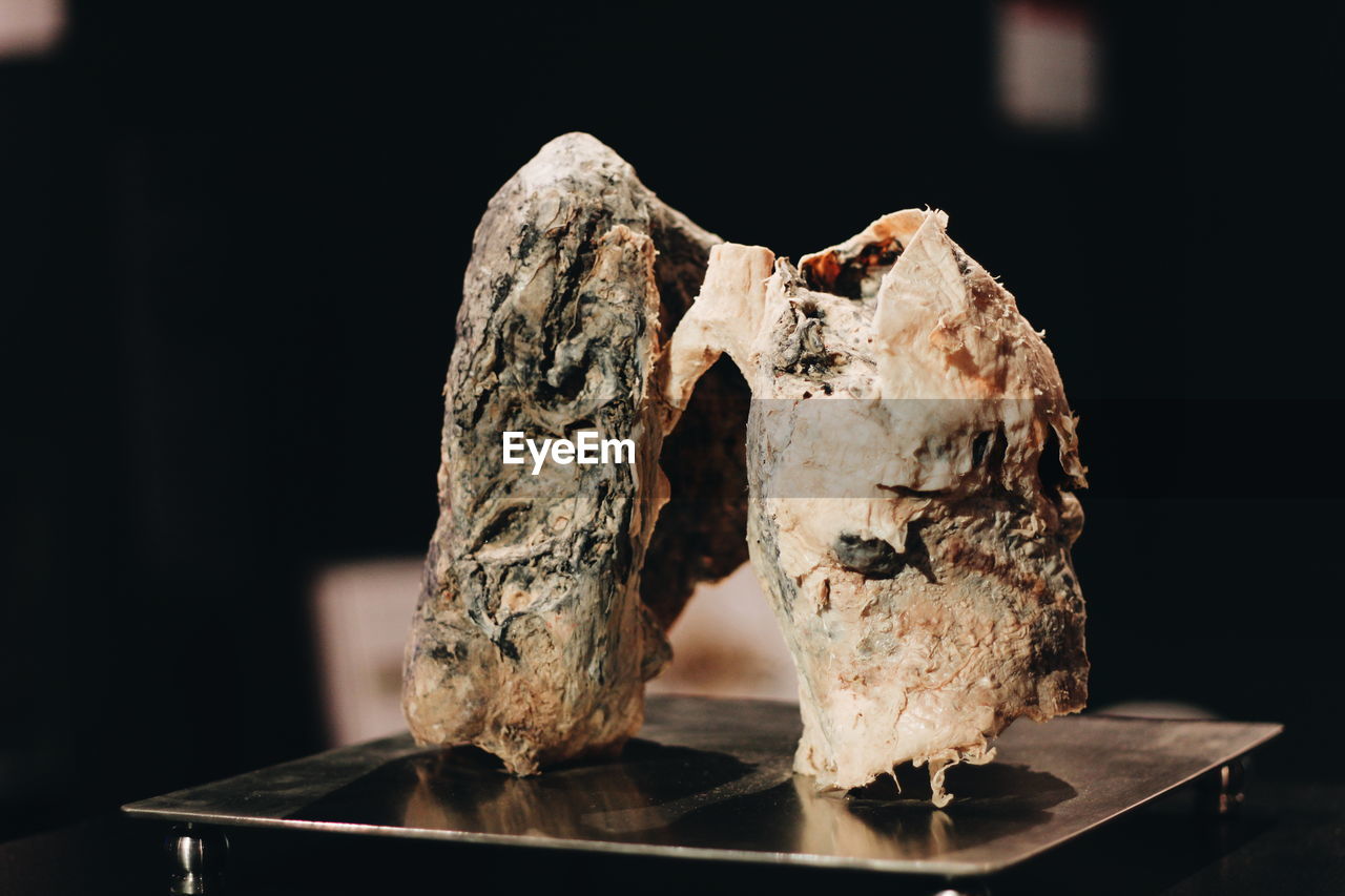 Close-up of lung representation on table
