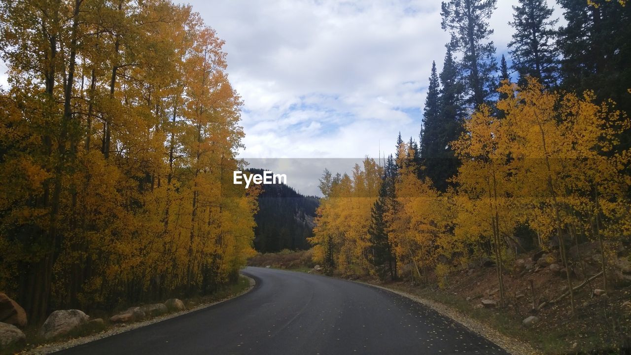 Road amidst trees against sky during autumn