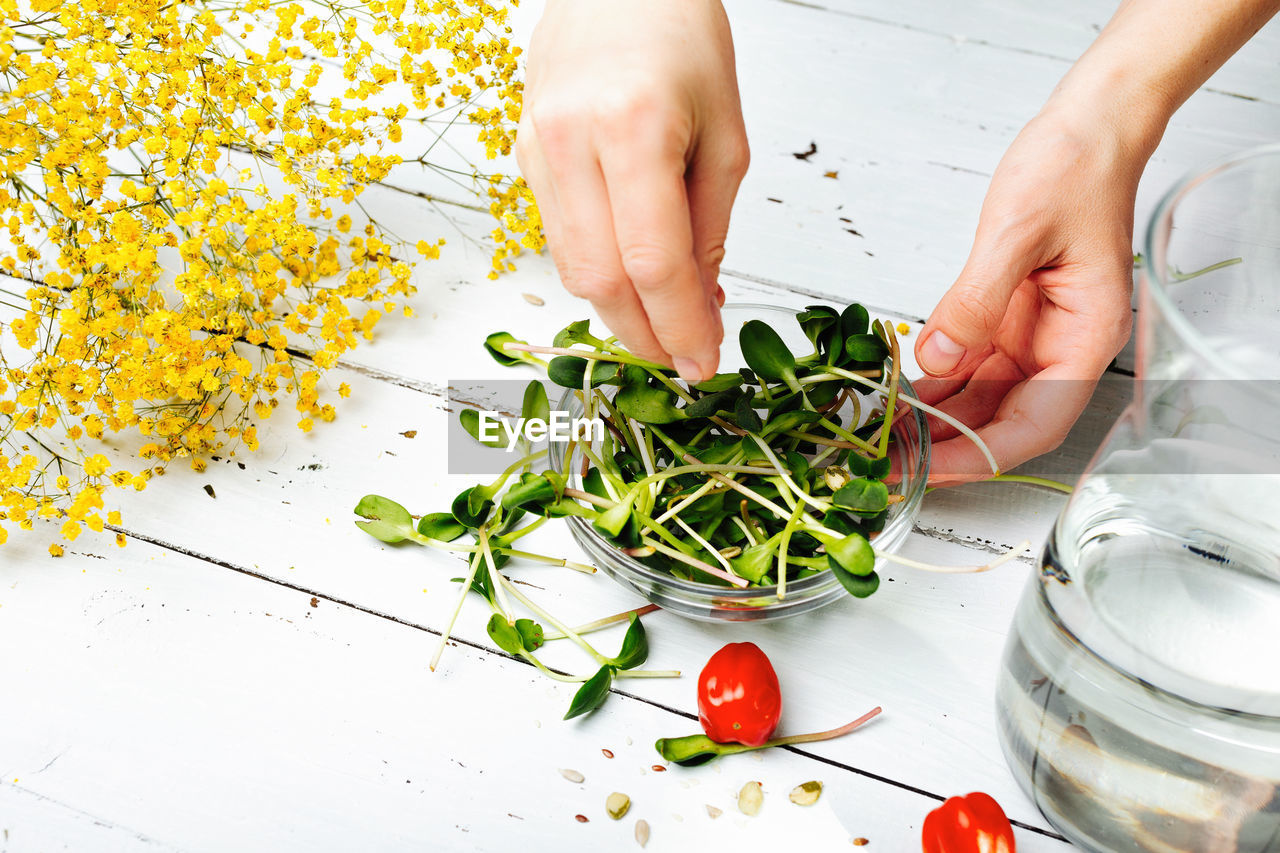 A woman prepares a salad of green sprouts with tomatoes. healthy detox food