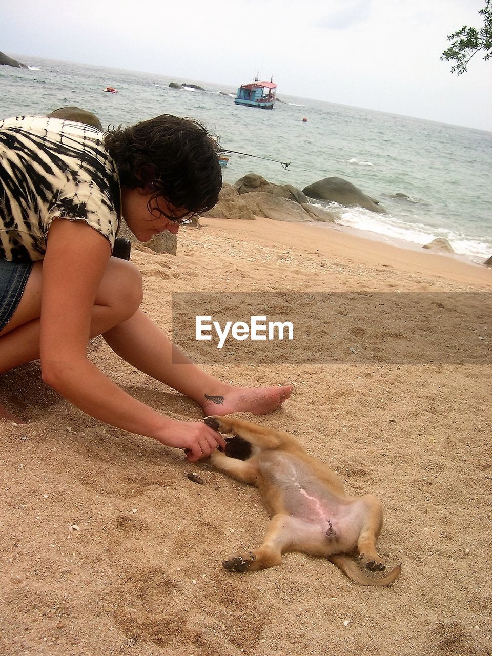 Close-up of woman playing with dog on sand at beach