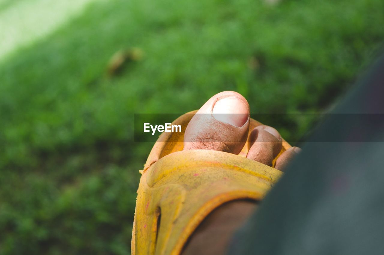 Low section of man wearing yellow slipper