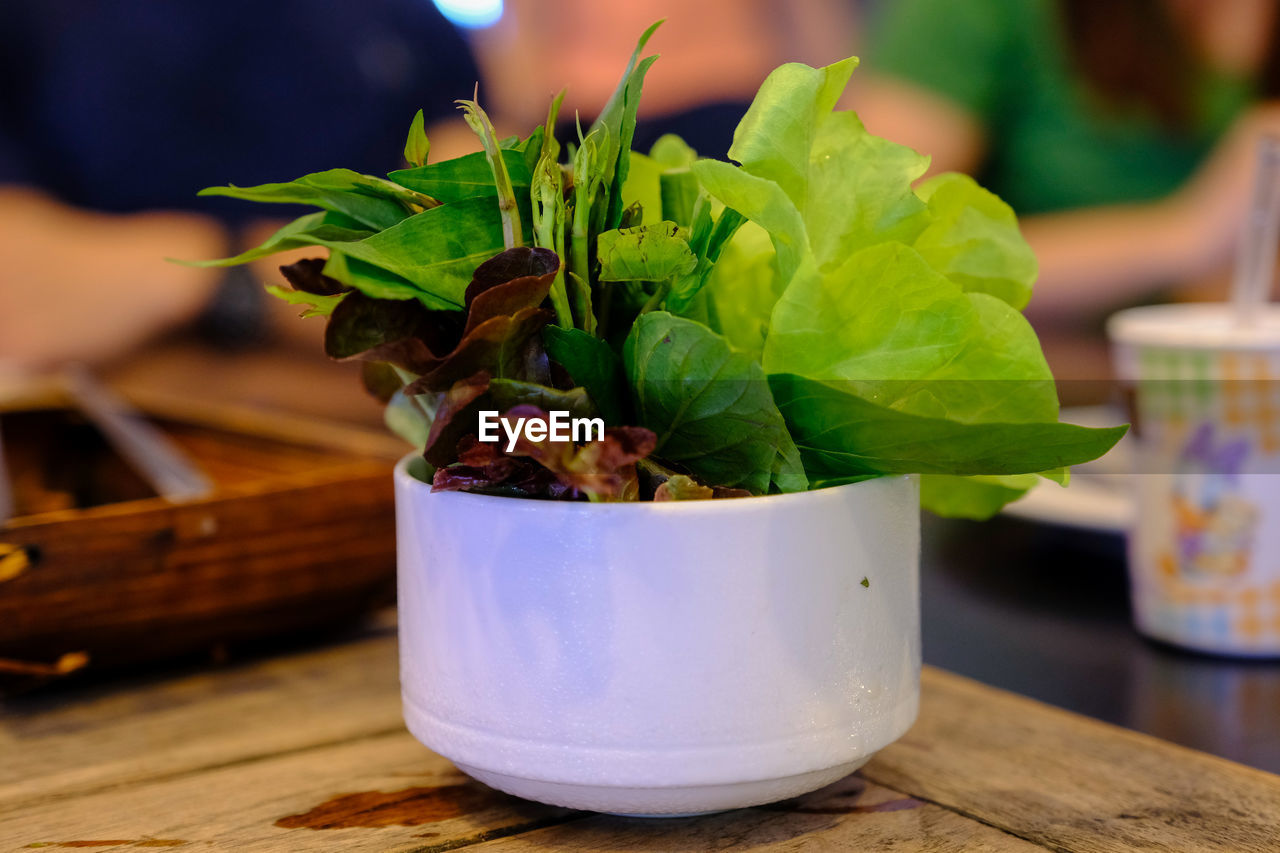 CLOSE-UP OF POTTED PLANT ON TABLE IN POT