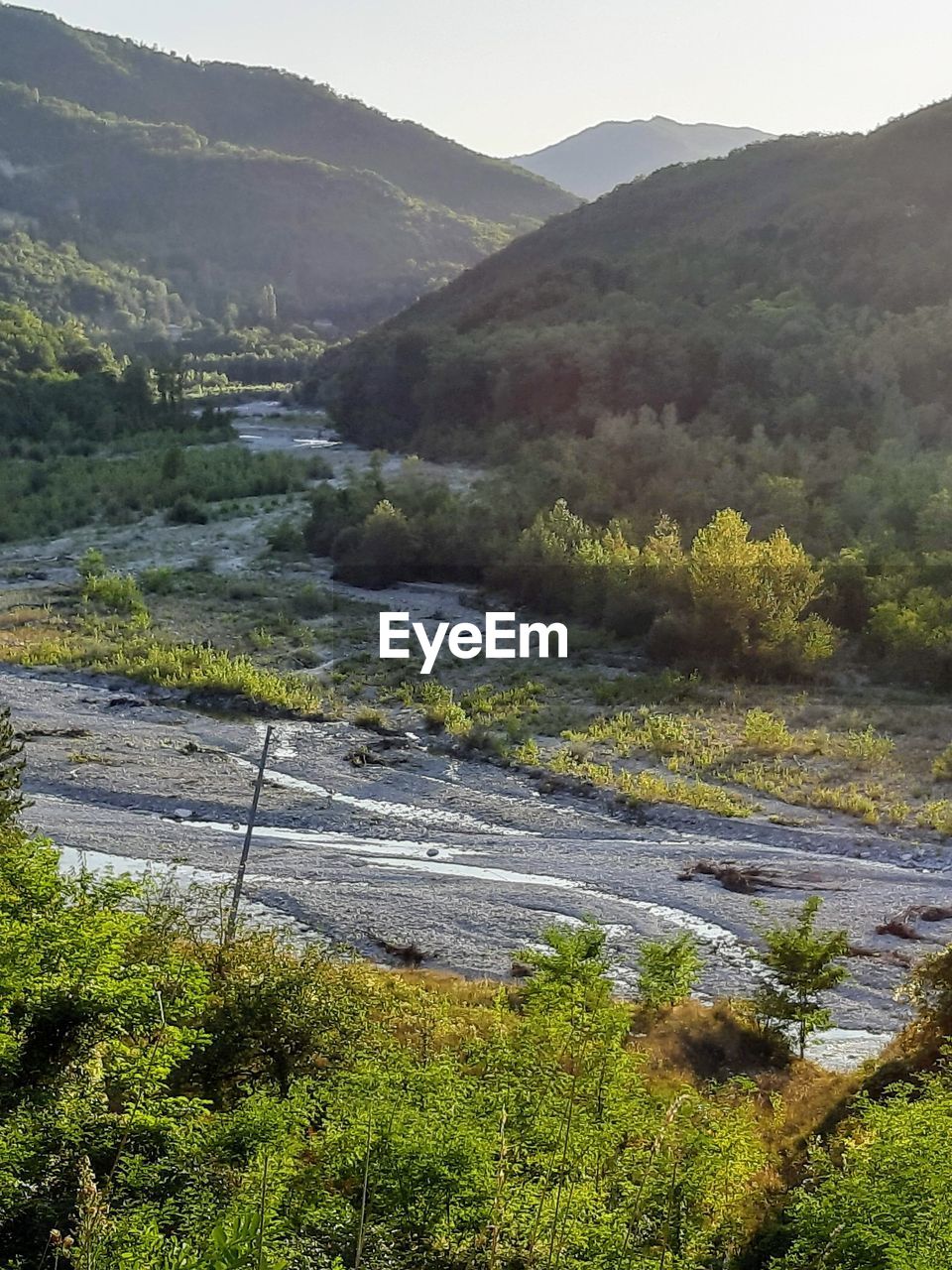 SCENIC VIEW OF RIVER AMIDST TREES AND MOUNTAINS