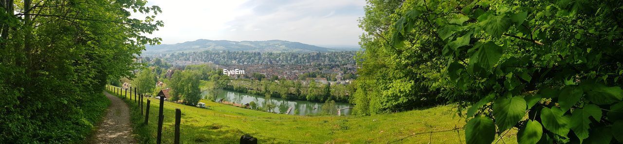 PANORAMIC SHOT OF TREES ON LANDSCAPE