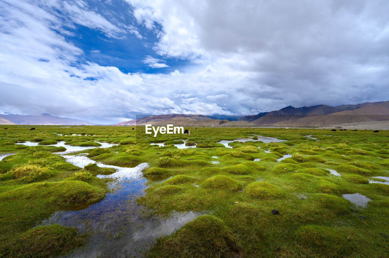 SCENIC VIEW OF LAND AND MOUNTAINS AGAINST SKY