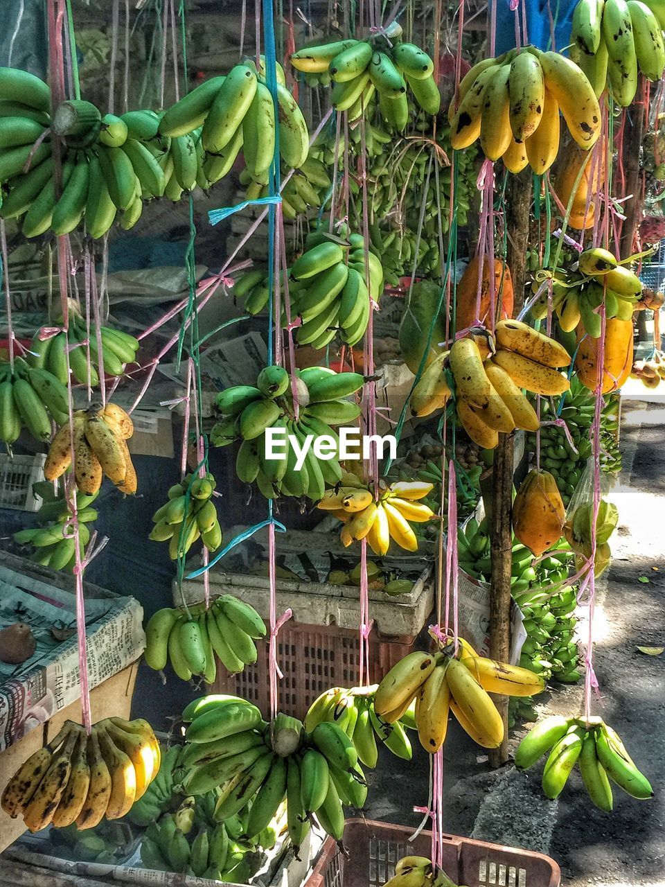 Bananas hanging at market for sale