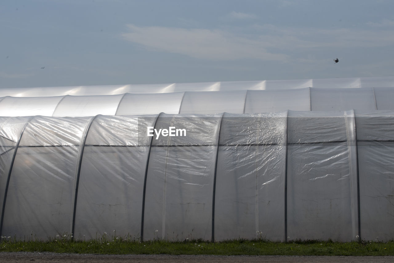 Plastic greenhouse in food production, on a summer day on the field