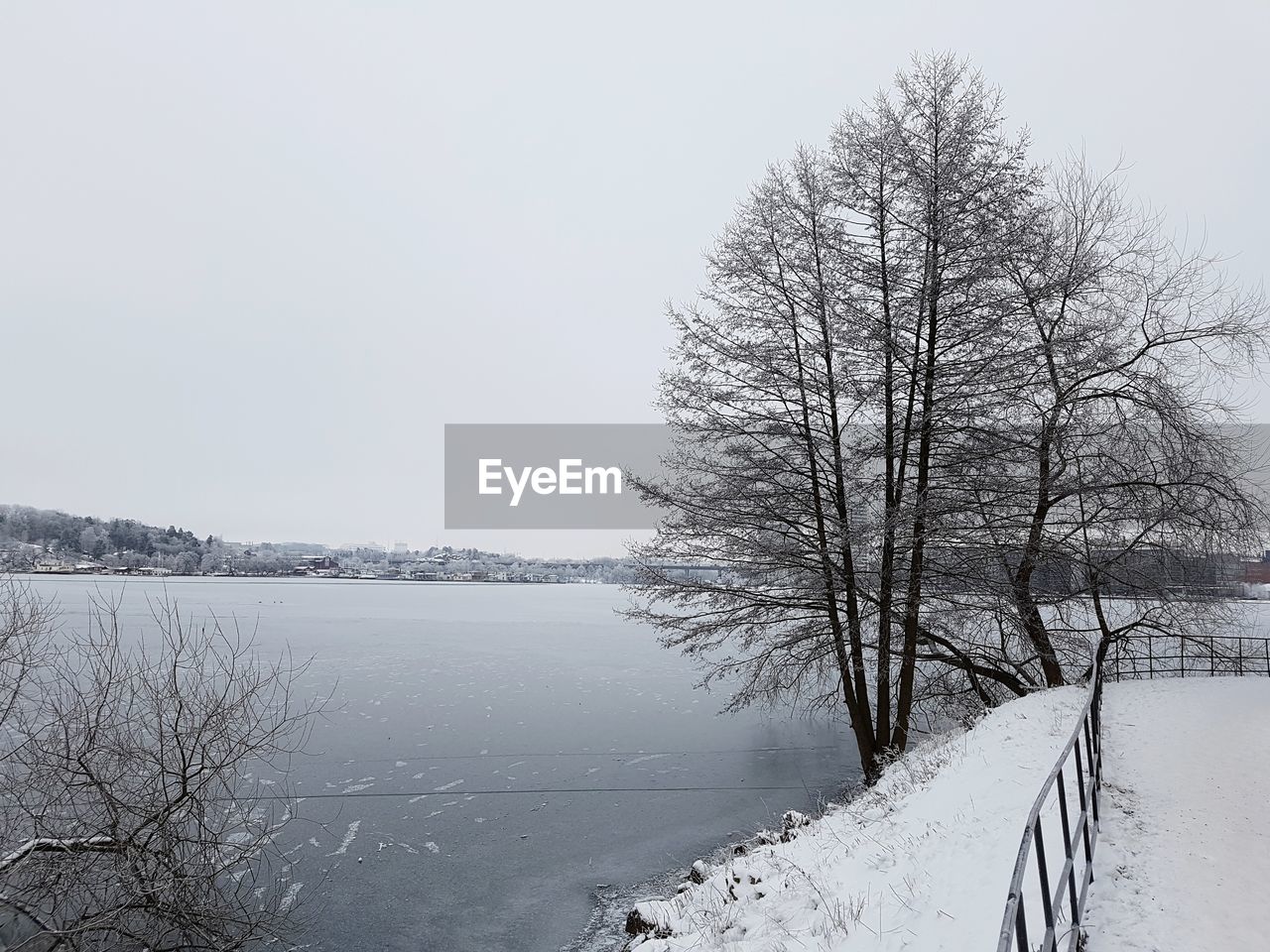 BARE TREES ON FROZEN LAKE AGAINST CLEAR SKY