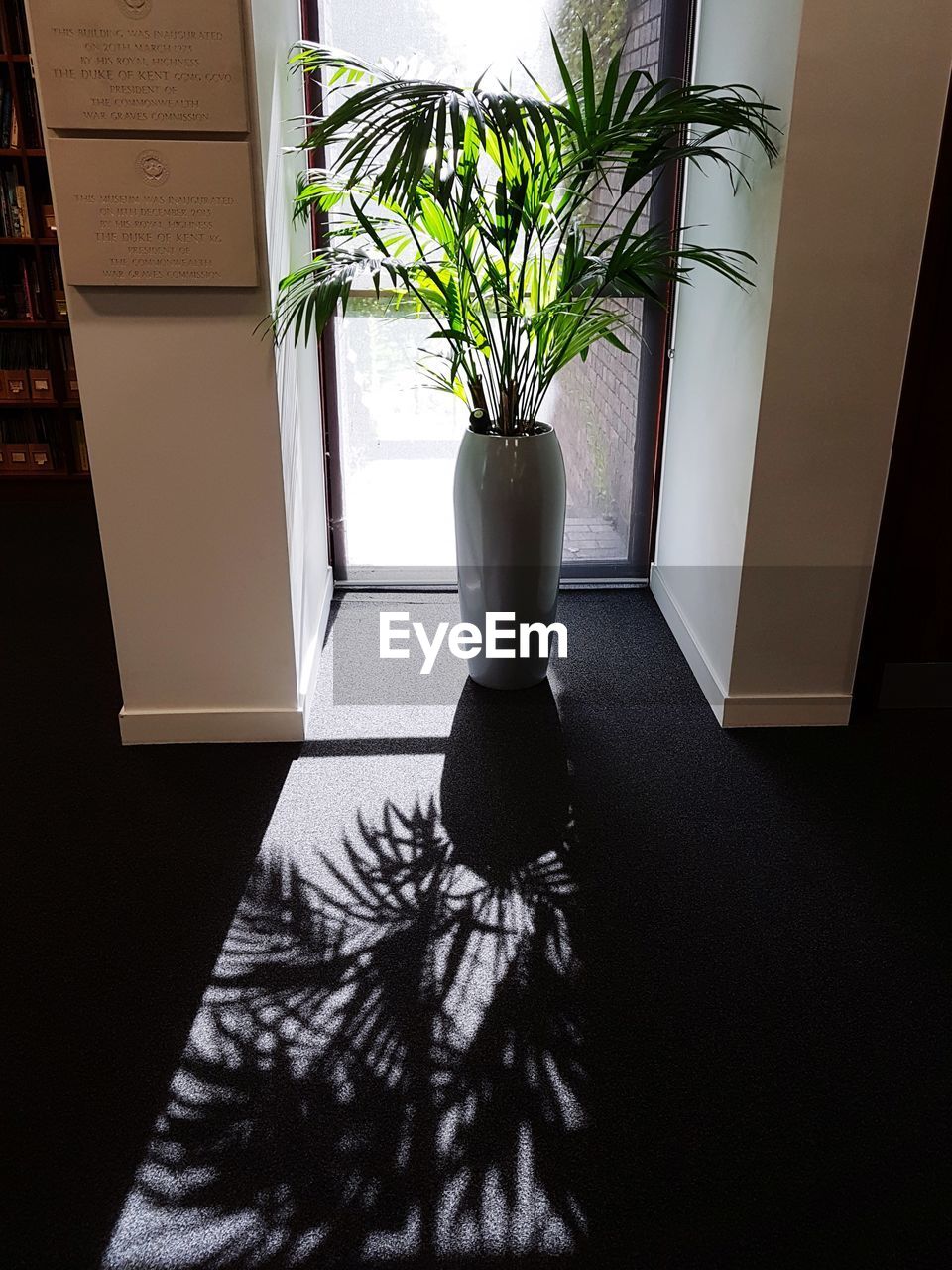 POTTED PLANT ON TABLE