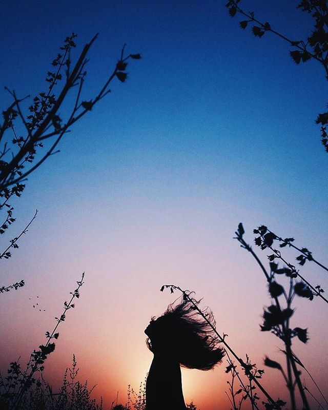 LOW ANGLE VIEW OF SILHOUETTE TREES AGAINST SKY AT SUNSET