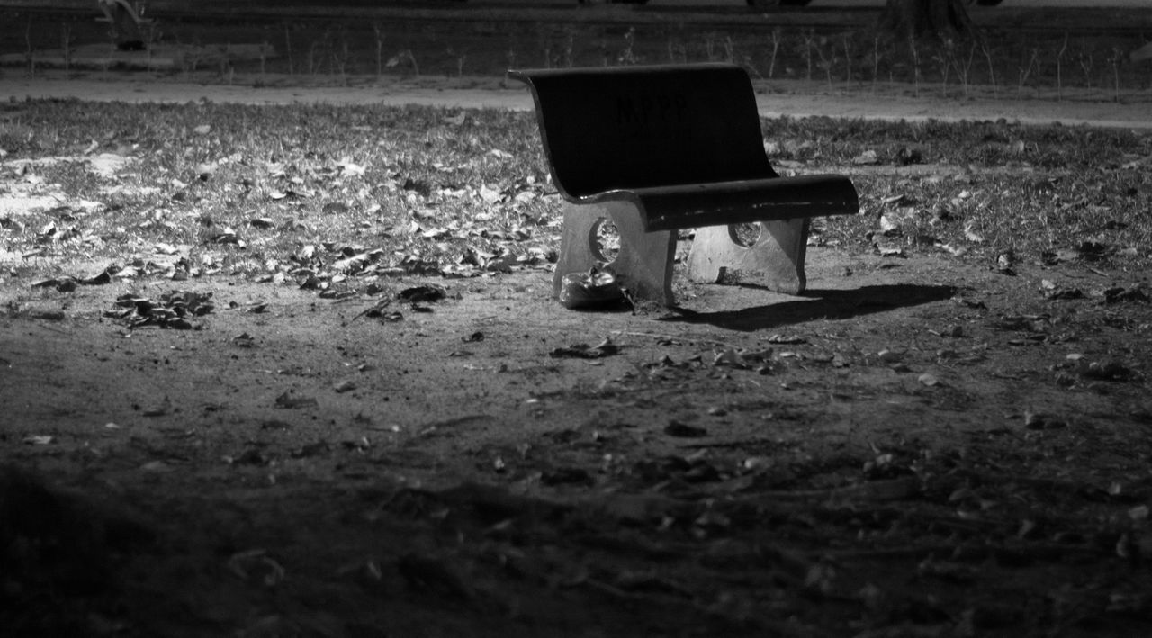 View of an empty bench in the lawn