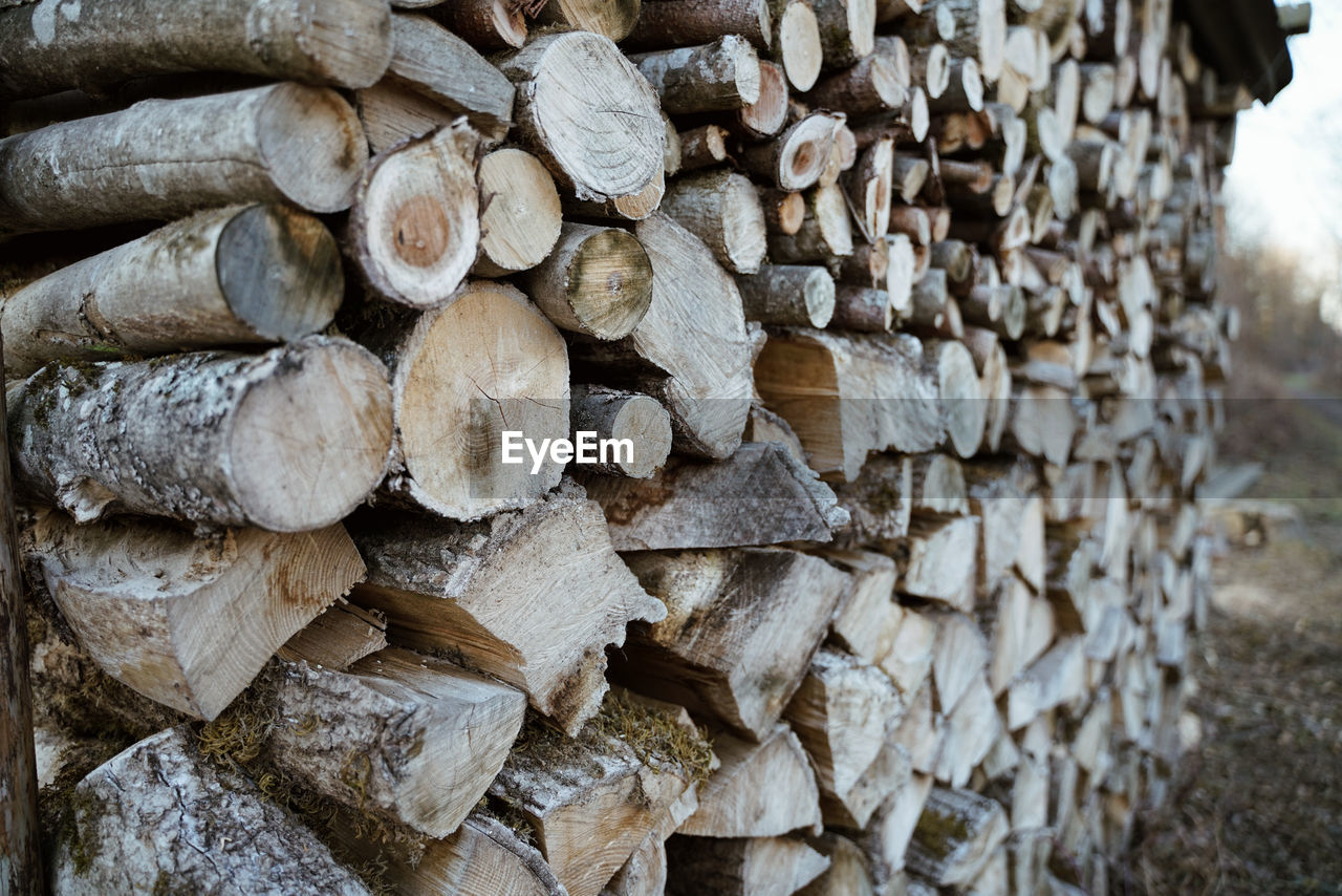 Full frame shot of logs 
