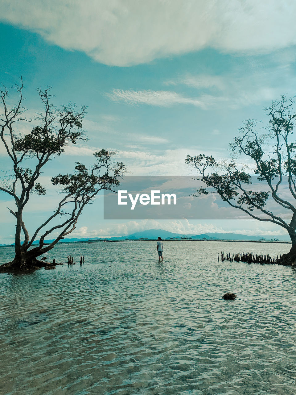 A very wide beach with a view of two trees that makes this place even more exotic. 