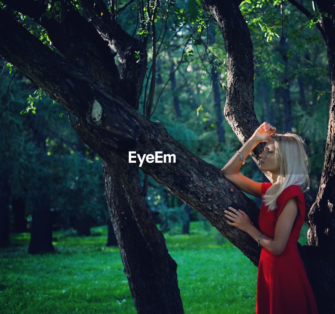 Woman by tree in forest