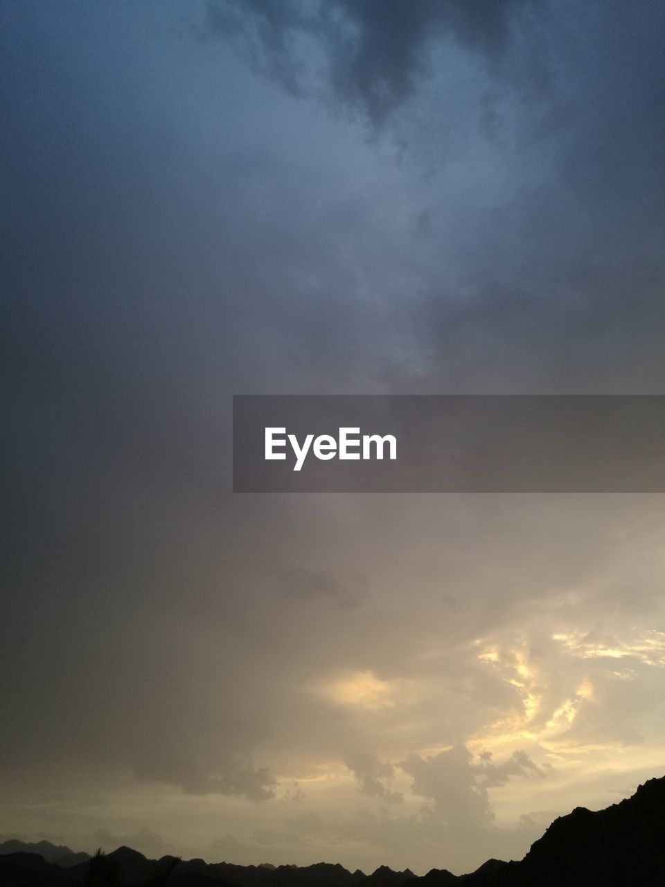 SILHOUETTE OF TREES AGAINST CLOUDY SKY
