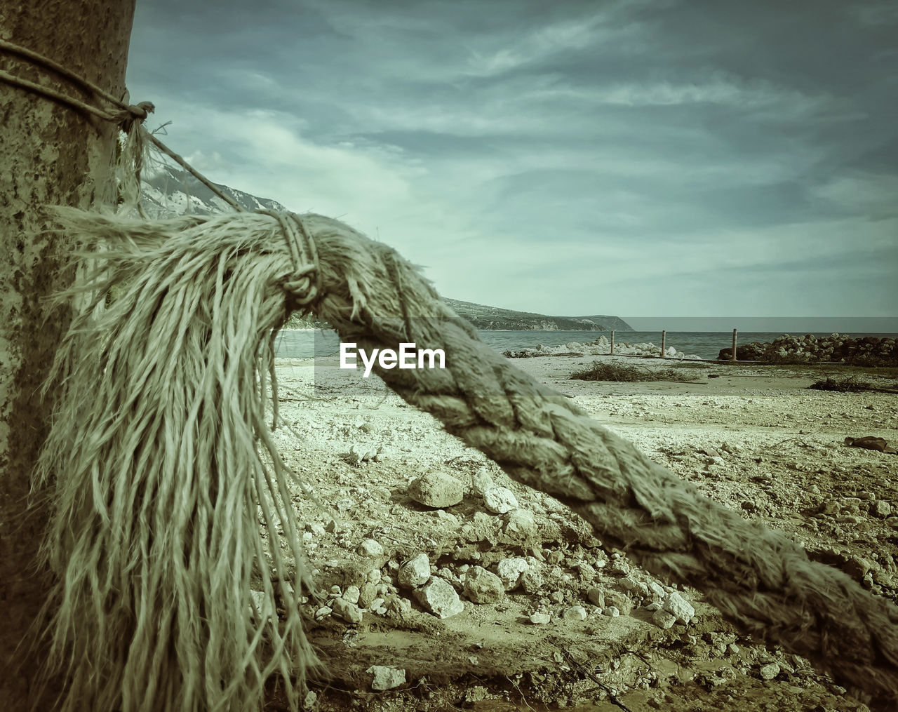 VIEW OF DRIFTWOOD ON BEACH