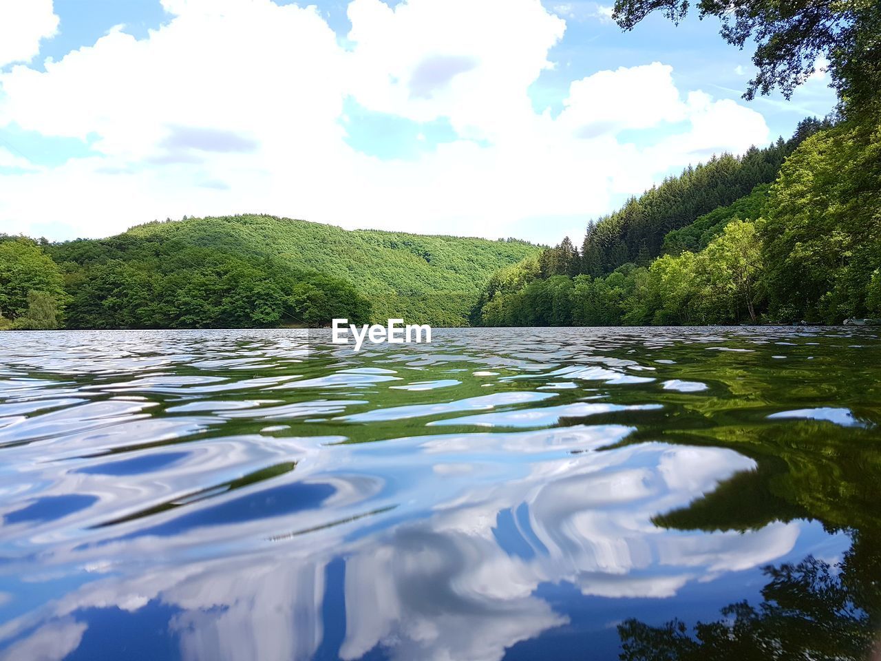 SCENIC VIEW OF RIVER AND TREES AGAINST SKY