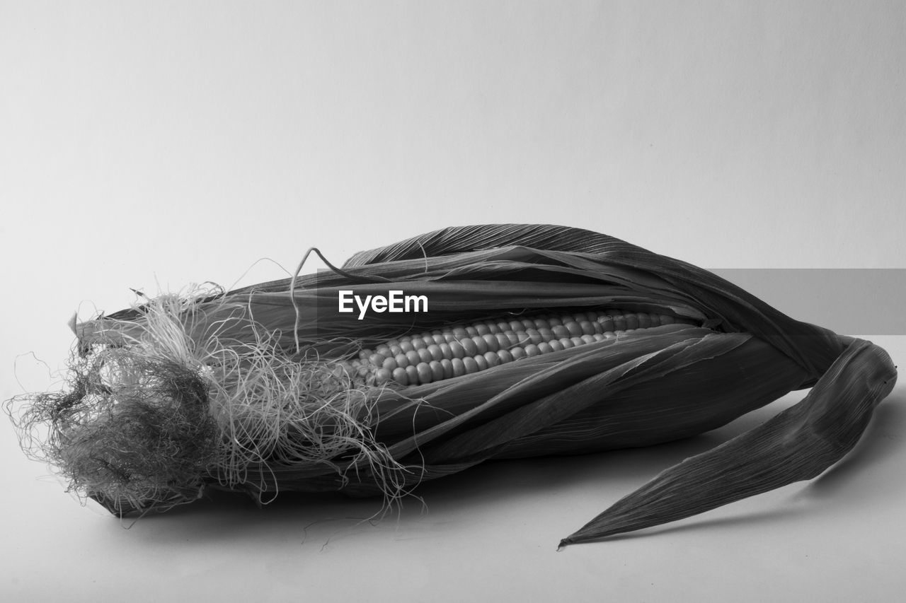 HIGH ANGLE VIEW OF ROPE ON TABLE