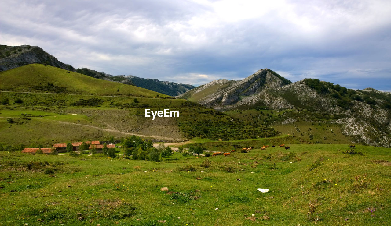 Scenic view of landscape against sky