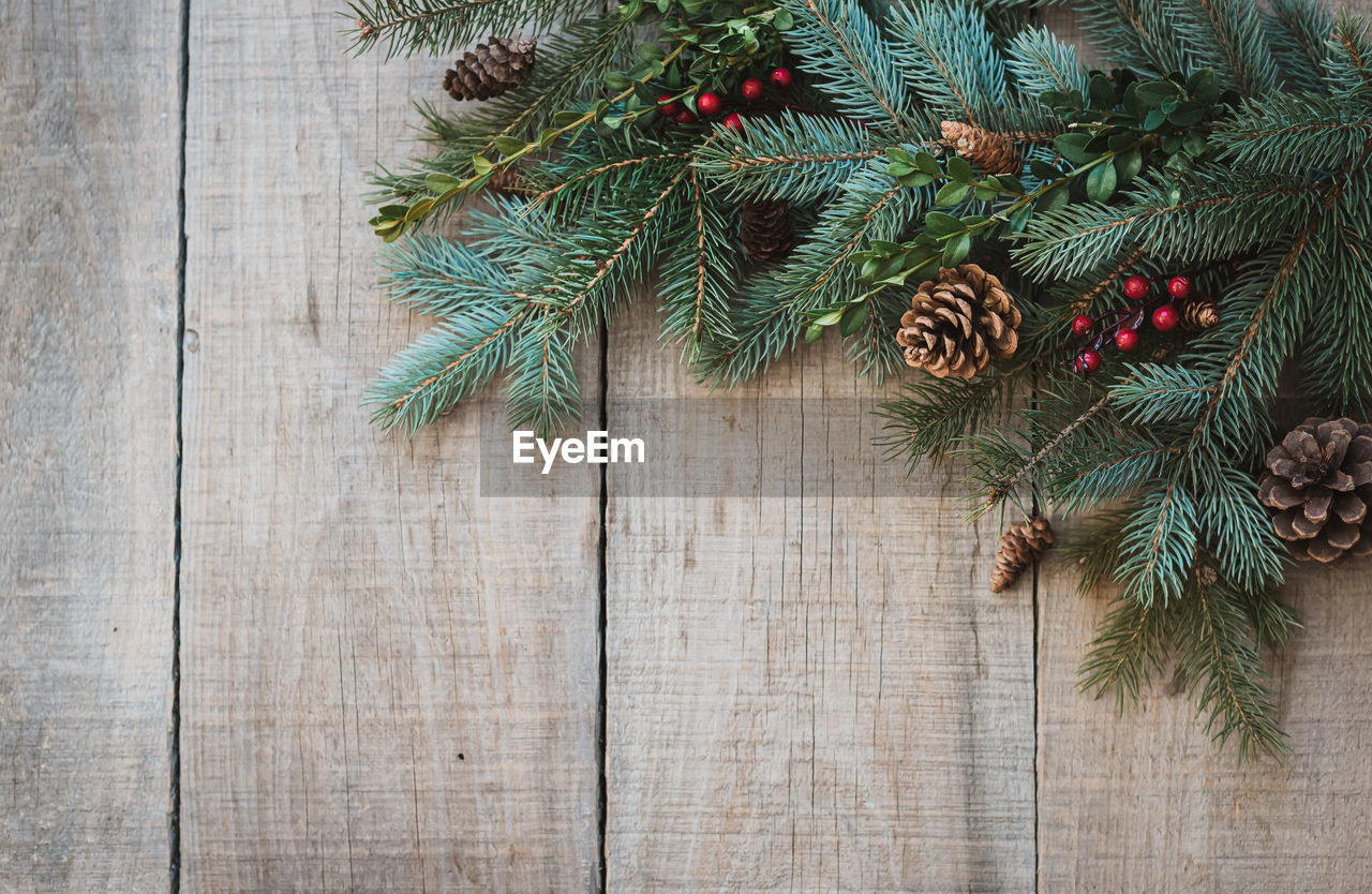 Winter greenery, pinecones and berries against rustic wood backdrop.