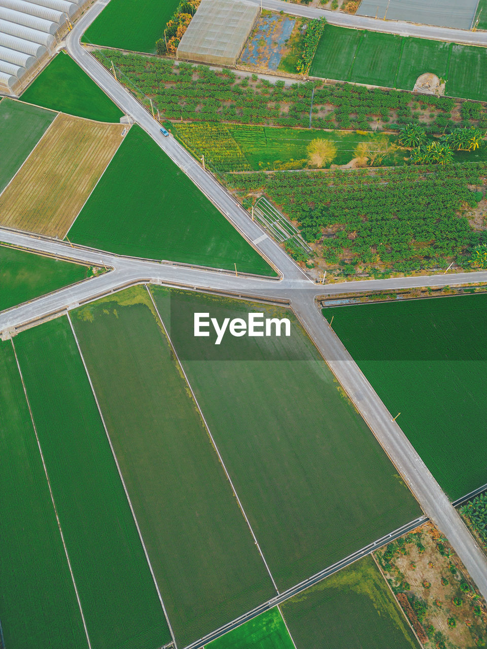 agriculture, aerial view, environment, field, aerial photography, landscape, green, farm, rural scene, land, race track, plain, high angle view, nature, stadium, no people, bird's-eye view, sports, day, grass, outdoors, sport venue, scenics - nature, baseball field, pattern, residential area, patchwork landscape, soccer-specific stadium, polder, beauty in nature, tranquil scene, growth, crop, plant