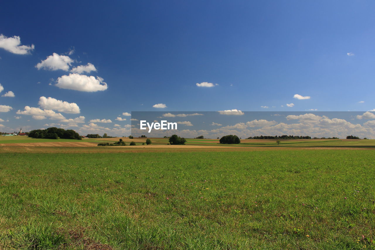 landscape, sky, horizon, environment, field, plain, plant, land, grassland, agriculture, nature, scenics - nature, rural scene, grass, cloud, beauty in nature, prairie, blue, no people, meadow, tranquility, pasture, crop, steppe, natural environment, tranquil scene, rural area, green, food, growth, cereal plant, food and drink, paddy field, tree, outdoors, farm, hill, day, sunlight, non-urban scene, flower, horizon over land, soil, summer, idyllic, barley, morning