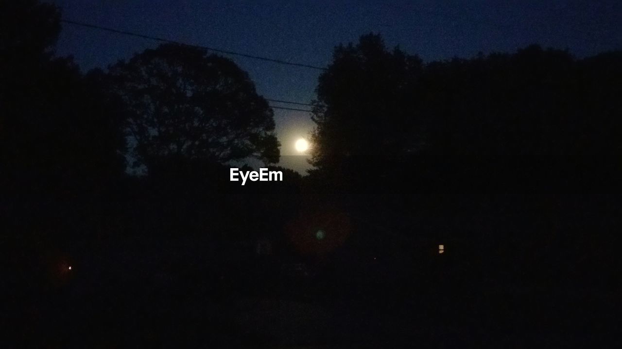 LOW ANGLE VIEW OF SILHOUETTE TREES AT NIGHT