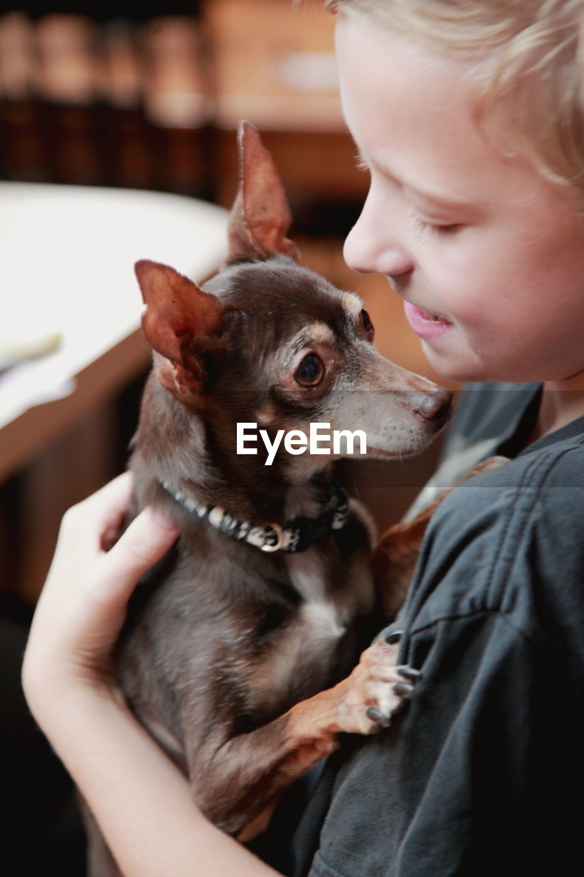 Close-up of boy holding chihuahua dog