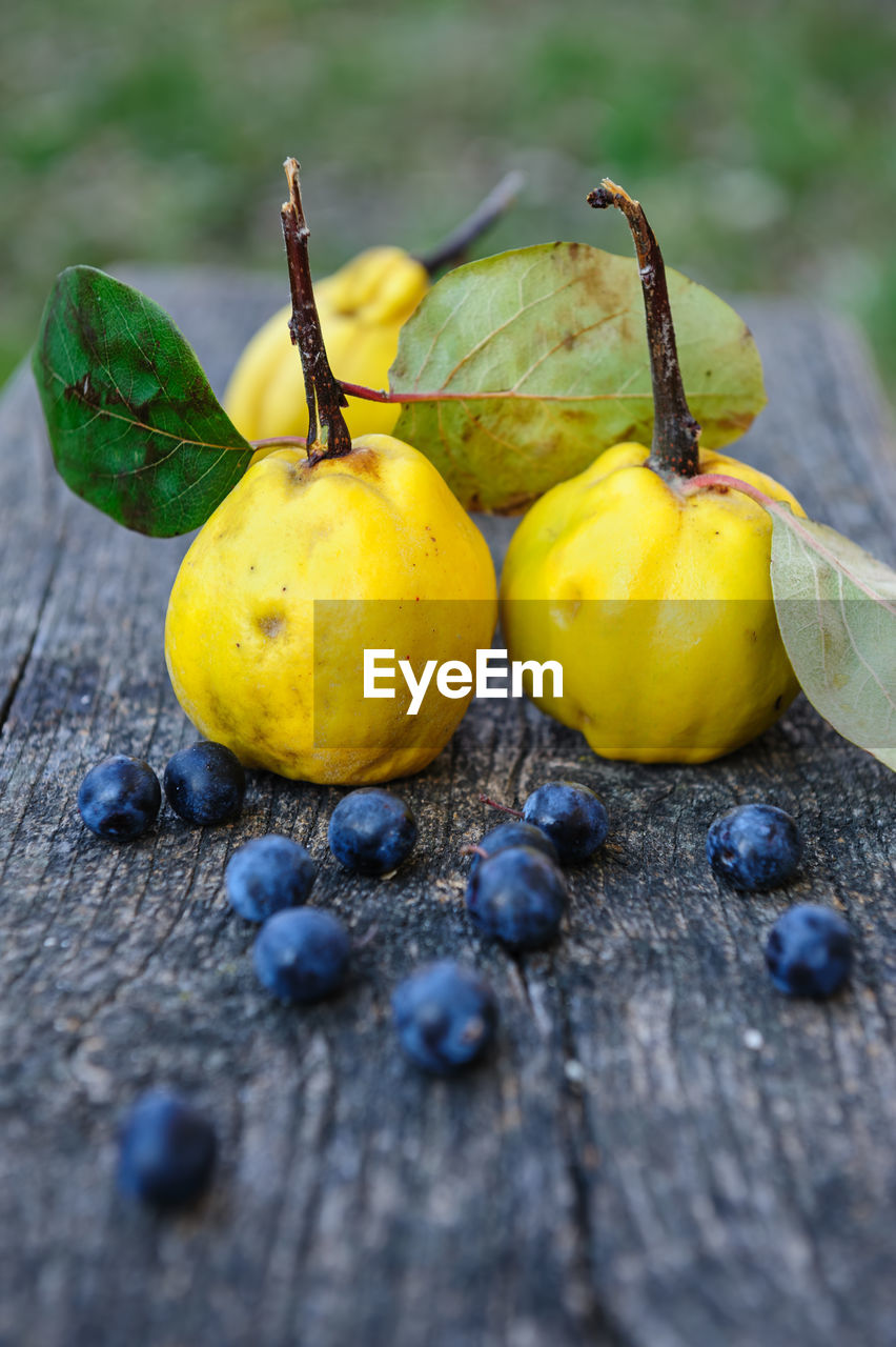 Close-up of quinces with blueberries on wooden table