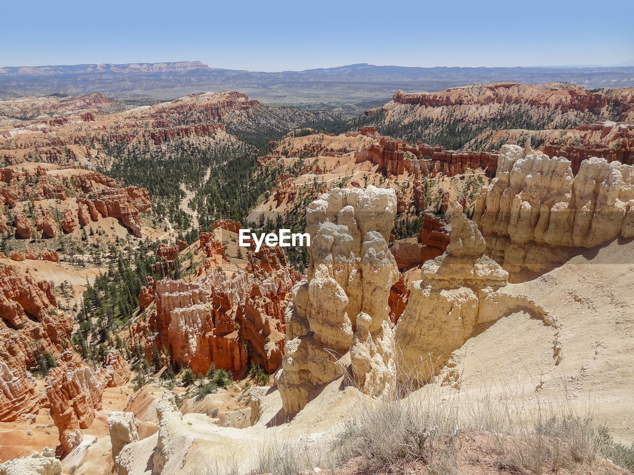 AERIAL VIEW OF LANDSCAPE