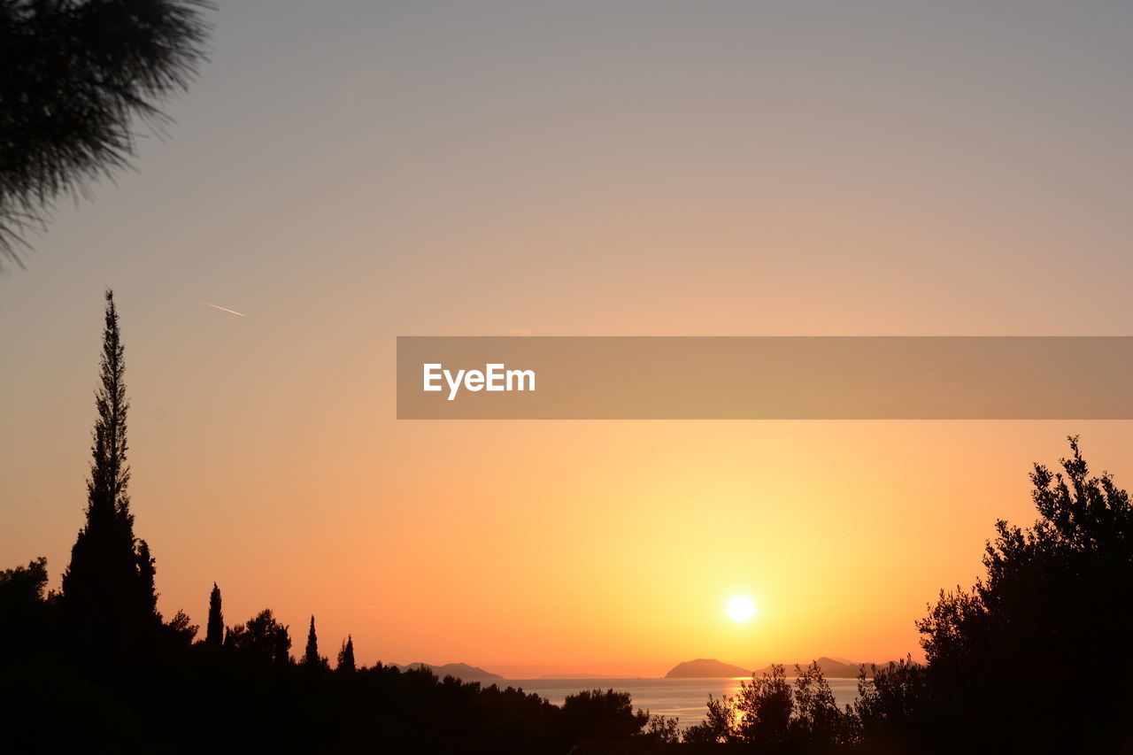 Silhouette of trees at sunset