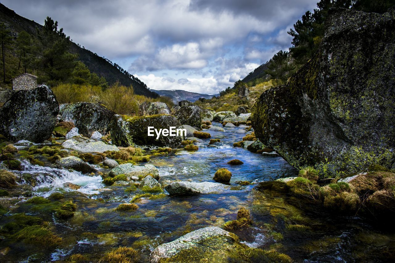 Scenic view of river amidst trees against sky