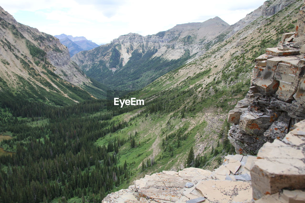 Scenic view of green landscape