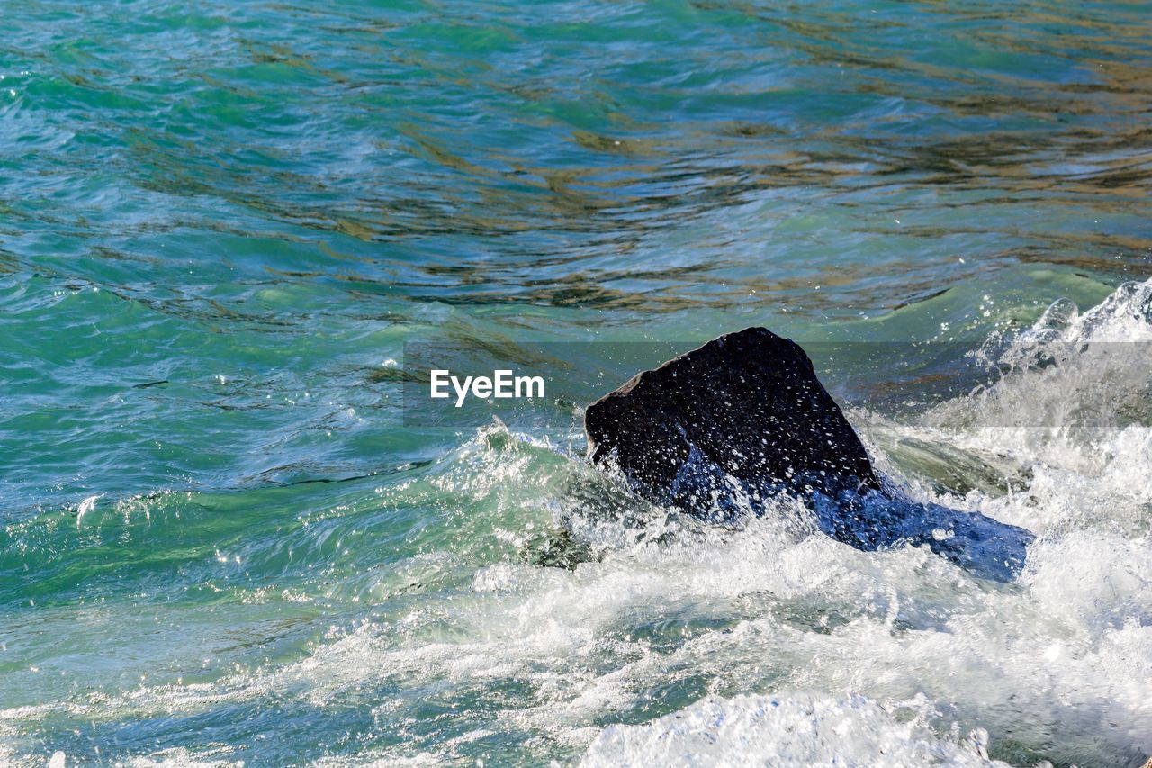 CLOSE-UP OF SEA WAVES IN WATER