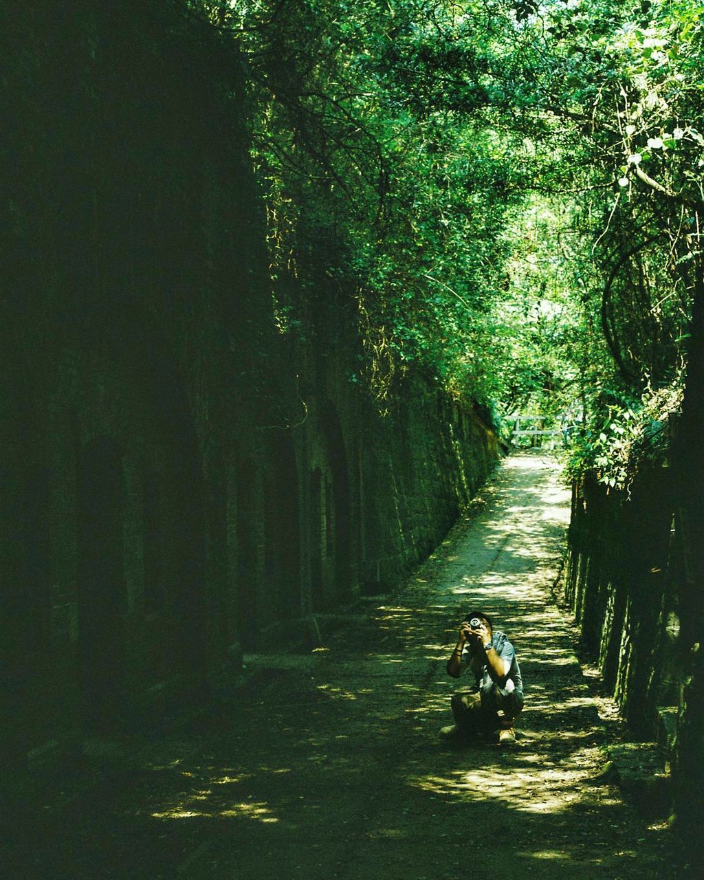 Man photographing amidst trees at forest