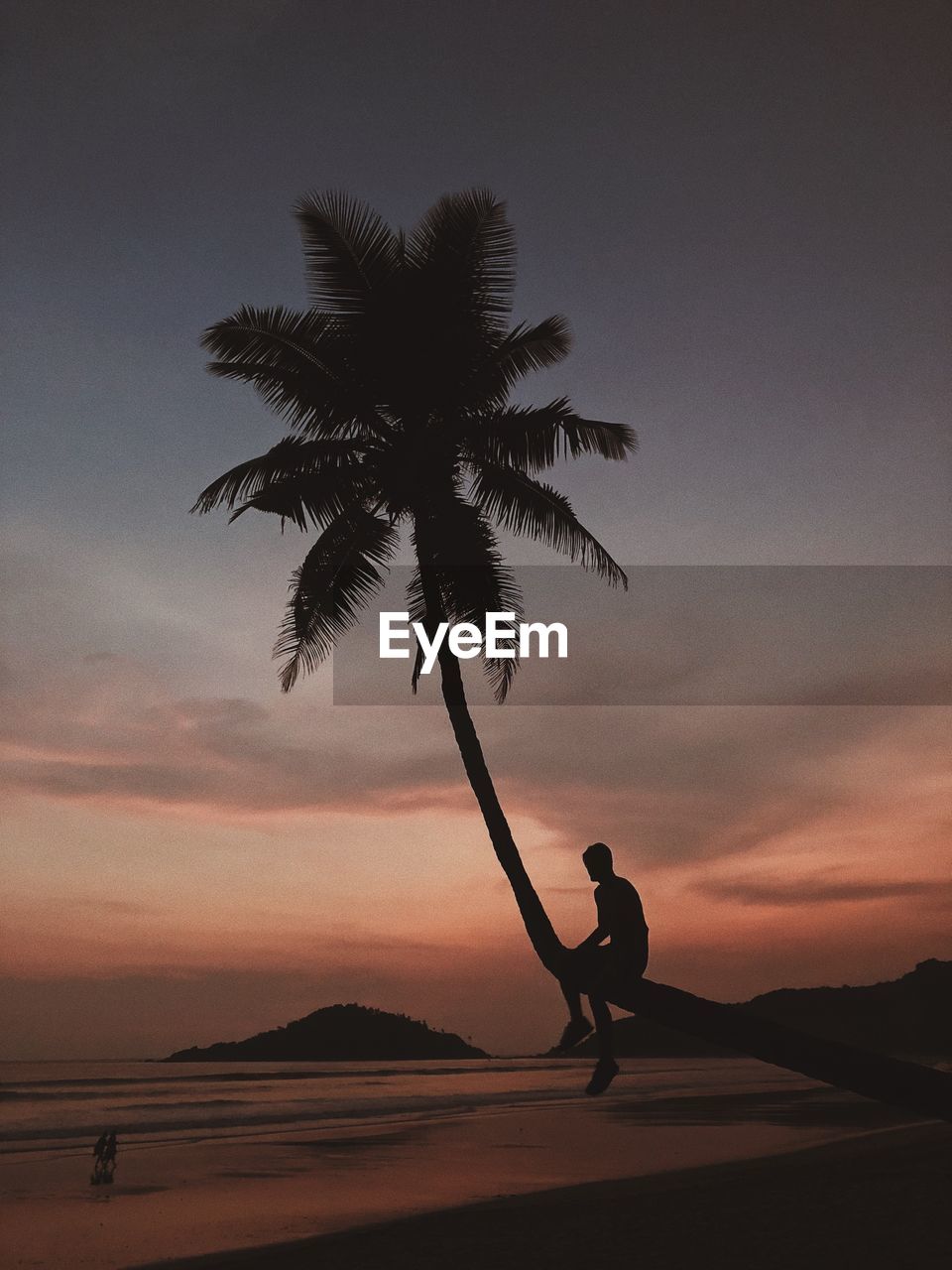 Silhouette man sitting on palm tree at beach against sky during sunset