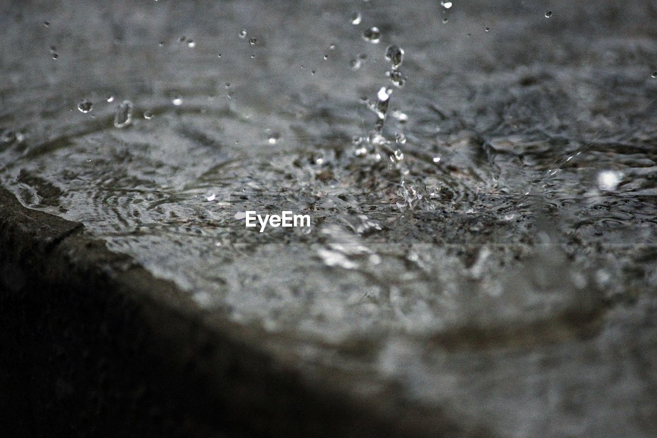 WATER DROPS ON LEAF