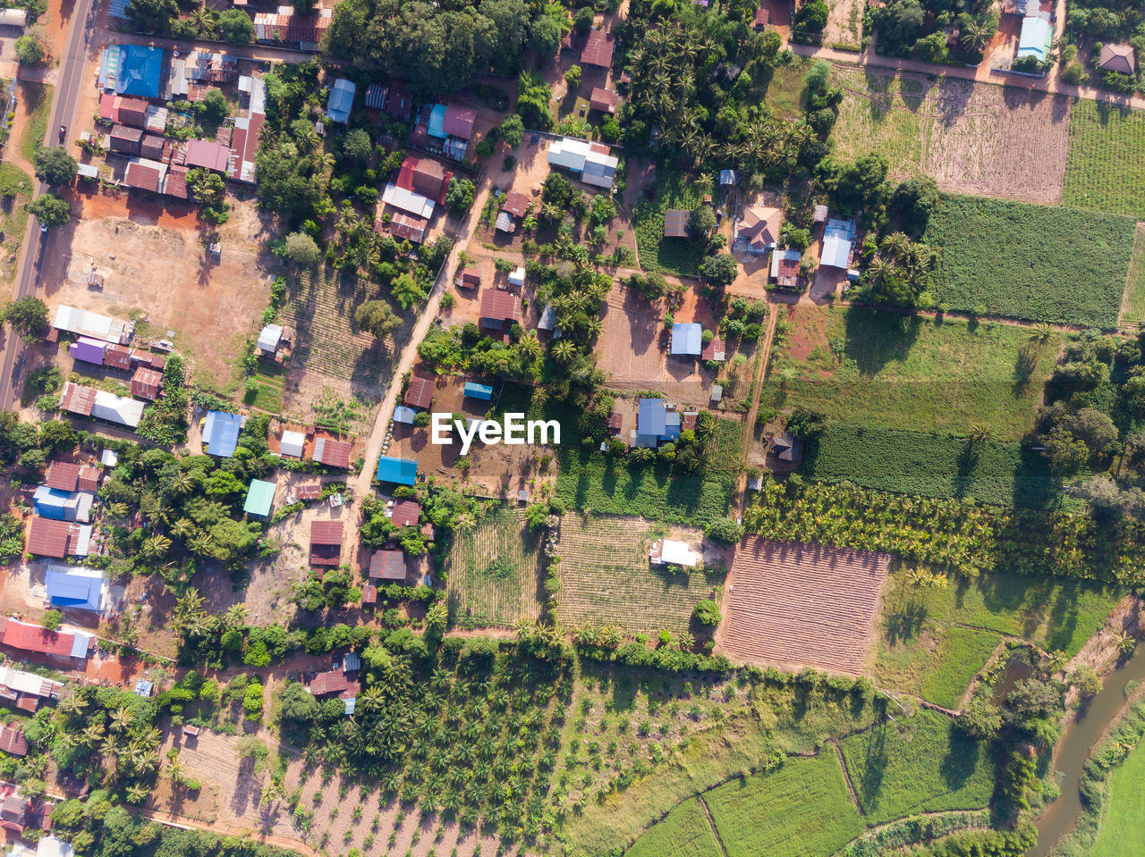 High angle view of trees and houses in village