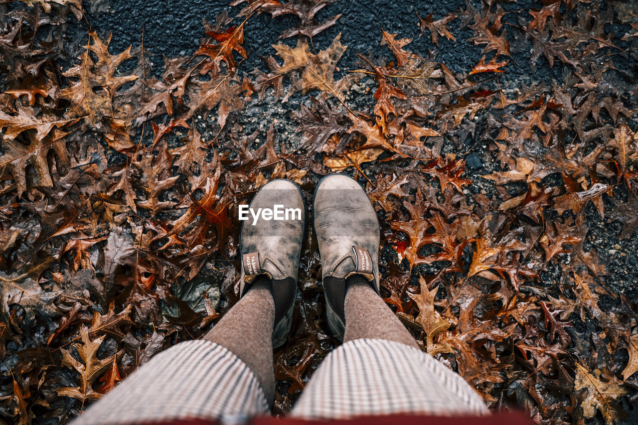 low section, shoe, human leg, personal perspective, leaf, one person, plant part, standing, autumn, high angle view, nature, land, lifestyles, day, dry, leisure activity, directly above, outdoors, field, leaves, limb, human limb, tree, spring, men, falling, adult, human foot, casual clothing