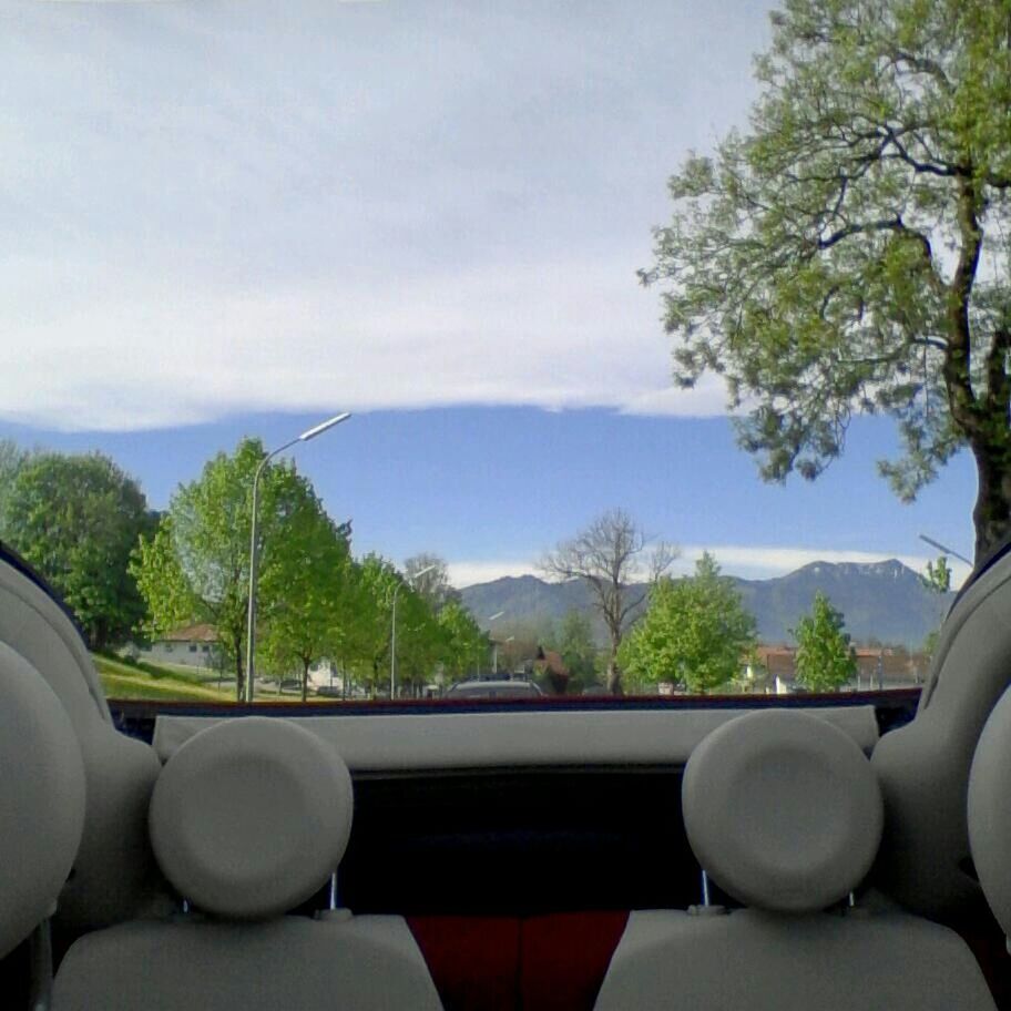 VIEW OF TREES AND MOUNTAIN RANGE