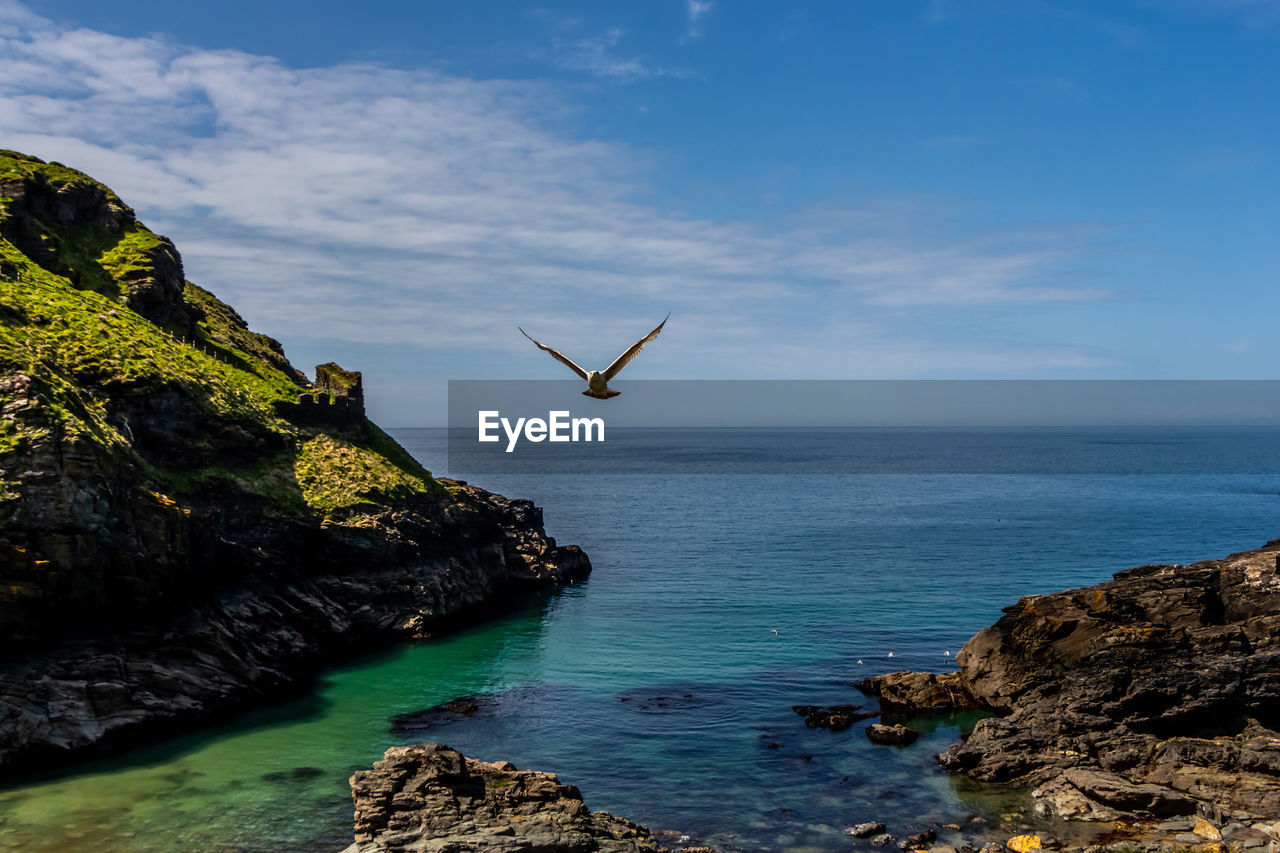 VIEW OF BIRDS ON ROCK FORMATION AGAINST SEA