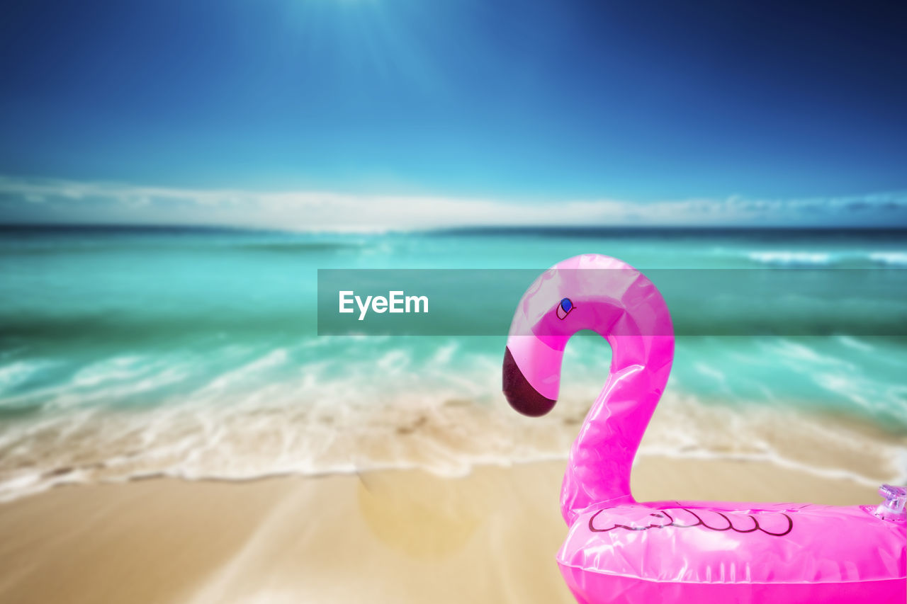 water, sea, pink, beach, land, sky, nature, horizon over water, horizon, wave, sand, bird, ocean, sports, holiday, vacation, trip, motion, blue, beauty in nature, sunlight, water sports, outdoors, summer, copy space, water's edge, no people, day, travel destinations, scenics - nature, inflatable, swimming, travel, tropical climate, focus on foreground