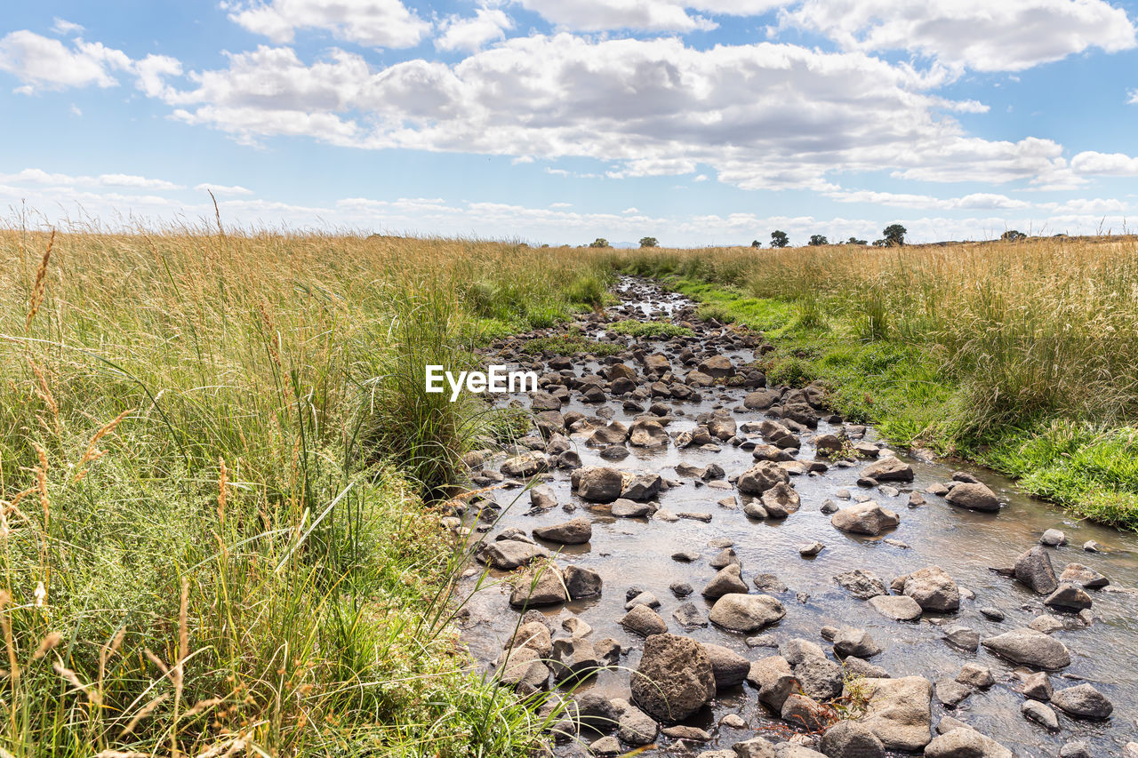 SCENIC VIEW OF LAND