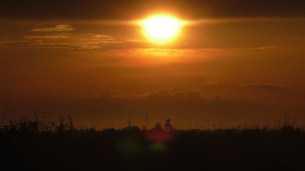 Silhouette trees on field against orange sky