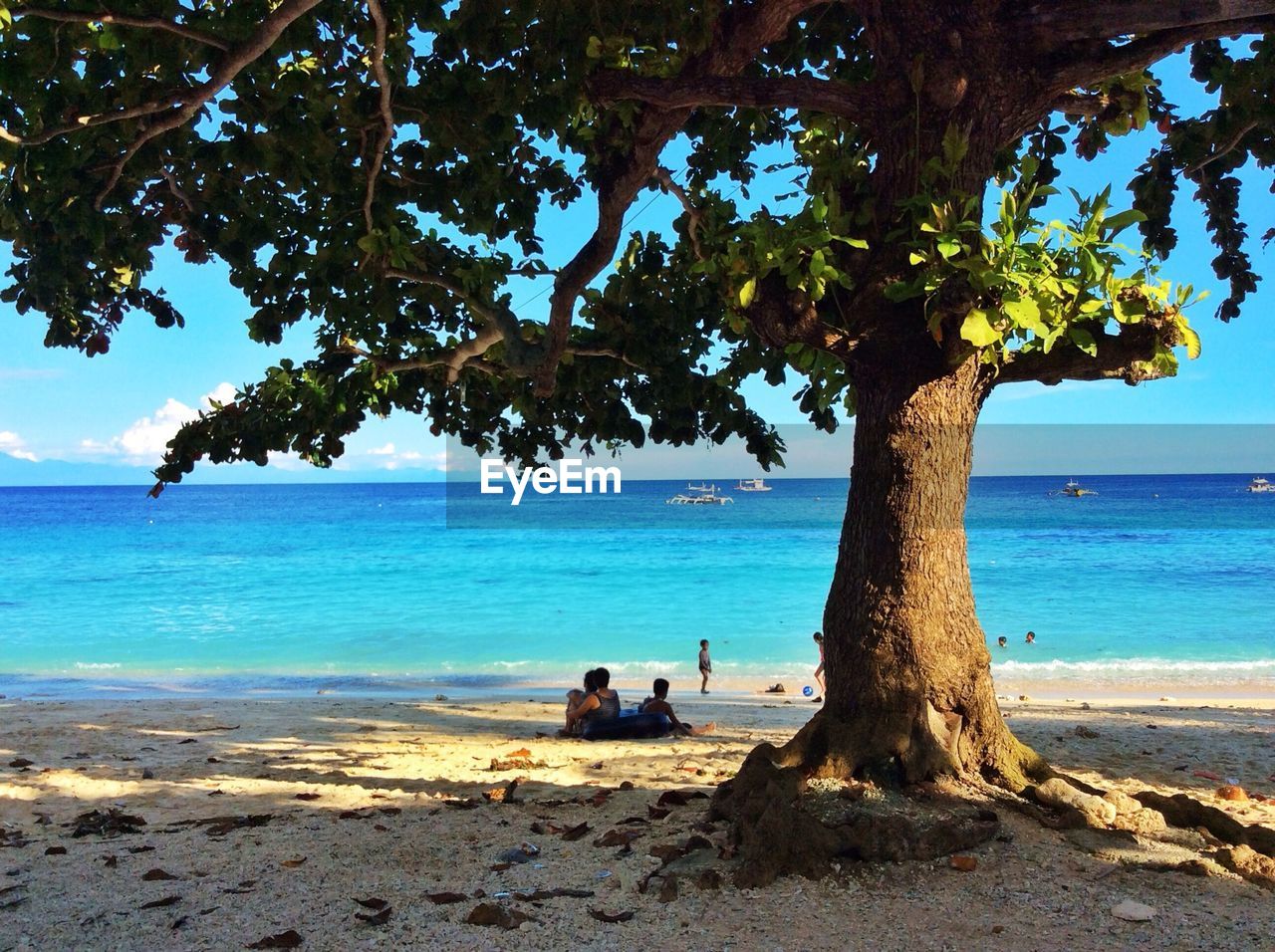 People sitting by tree on shore
